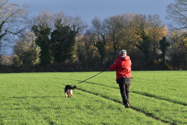 Club Canin de l'Iroise - photo 3