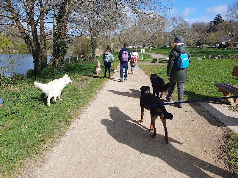 Autour des chiens 29 Comportementaliste et éducateur canin - photo 2