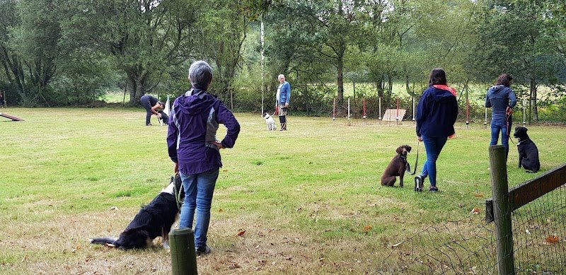 Club Canin de l'Odet - photo 1