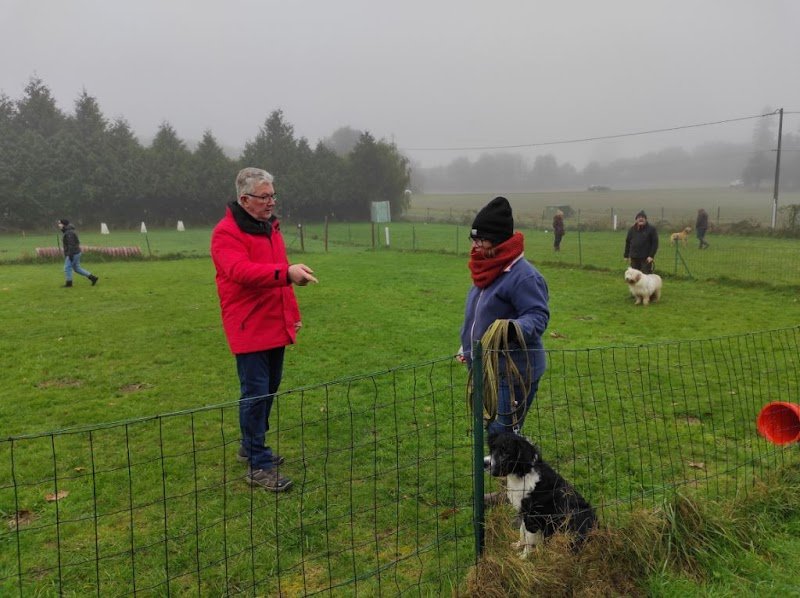 Acec (Association Concarnoise d'Education Canine) - photo 2