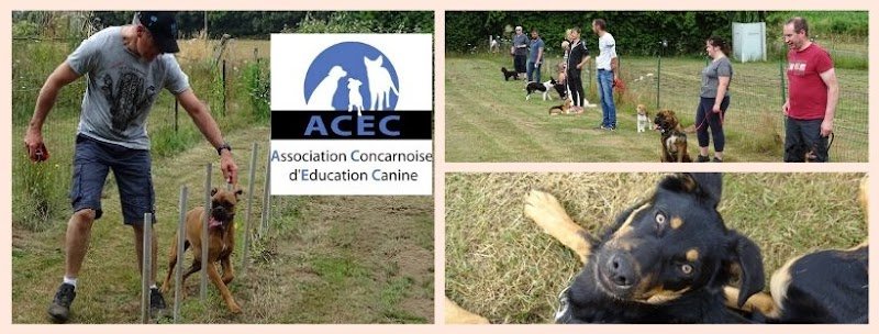Acec (Association Concarnoise d'Education Canine) - photo 3