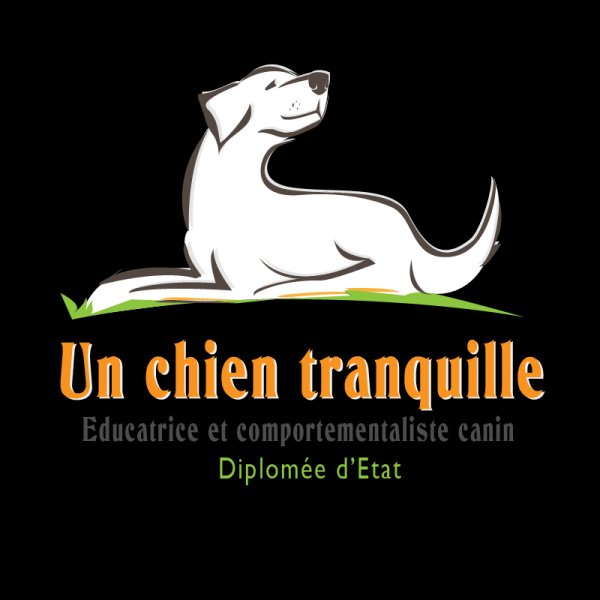 Un chien tranquille - photo 2