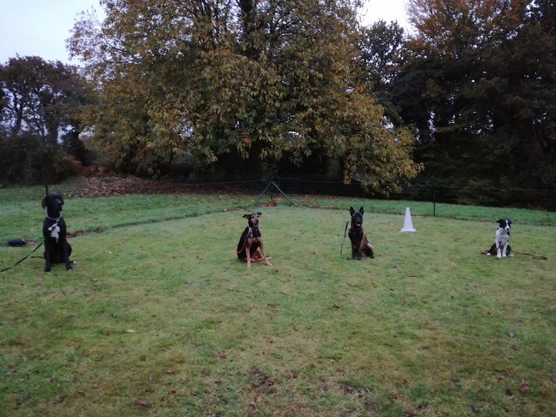 Legallais Cédric Pension Education Canine - photo 3