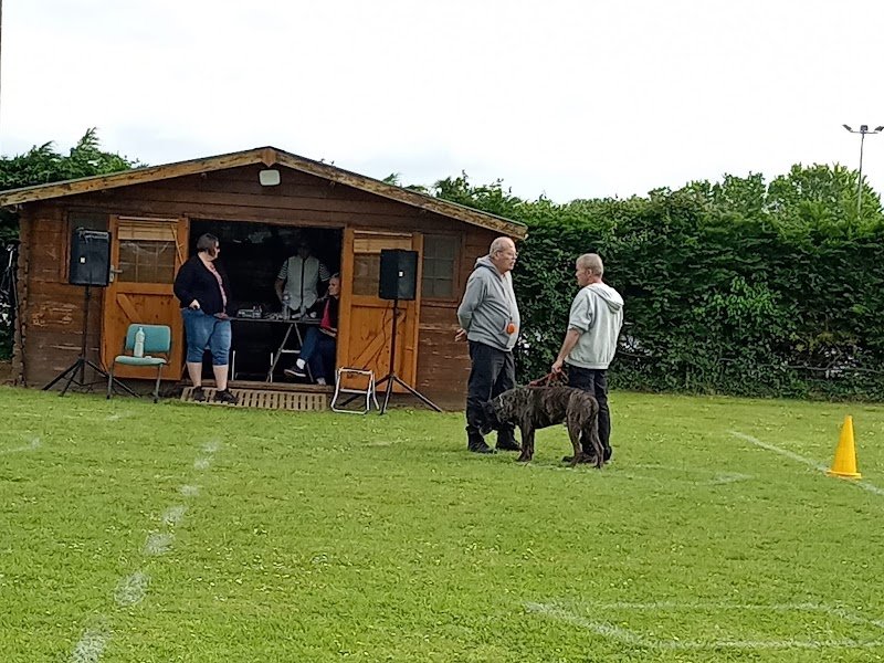 Club canin Guipavas - photo 1