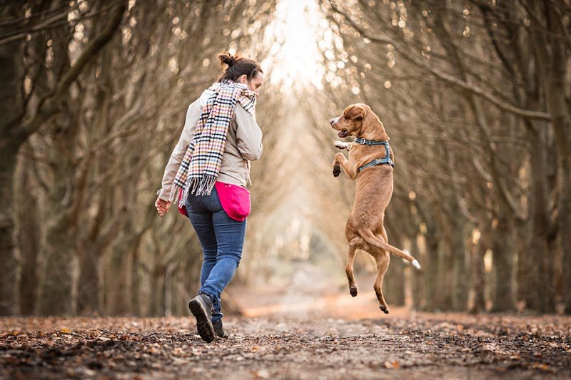 Paw'lette Education Canine Bienveillante et Respectueuse - photo 3