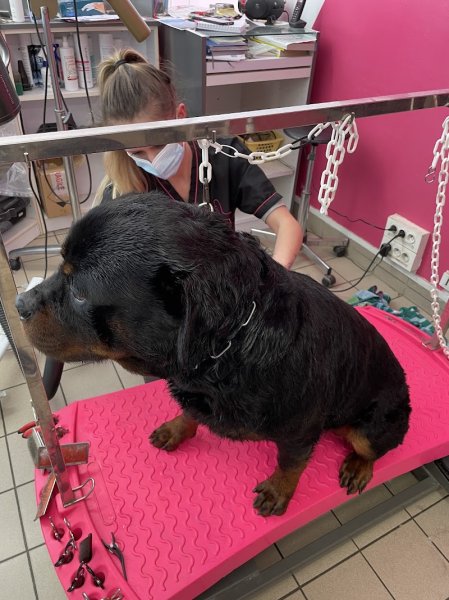 Le Barbier Canin Eurl