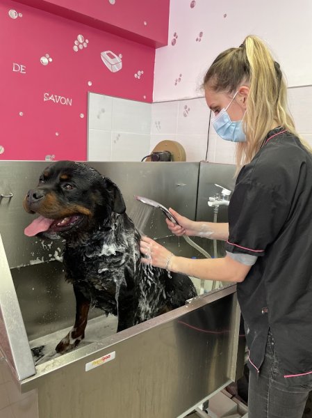 Le Barbier Canin Eurl - photo 2