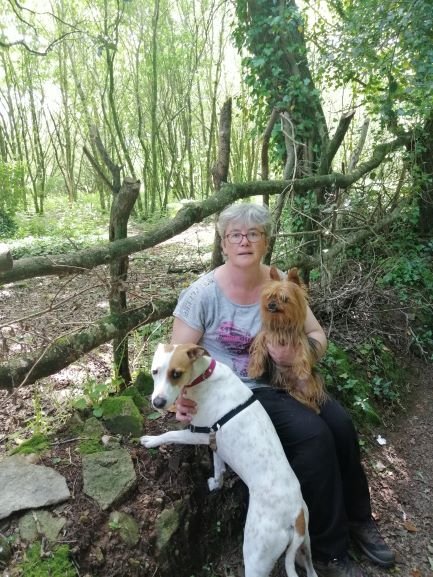 L'Ecole des chiens de Douarnenez