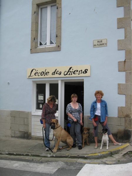 L'Ecole des chiens de Douarnenez - photo 3