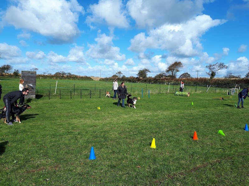 Arnold Educateur Canin - photo 2