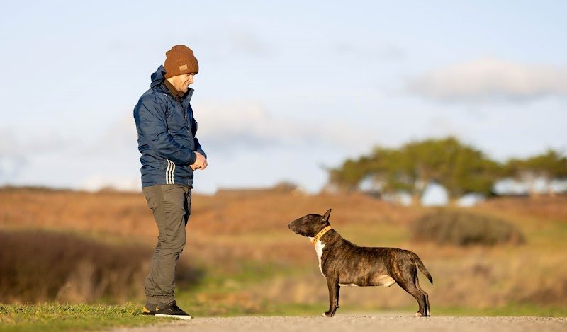 Culture Canine - Educateur Canin