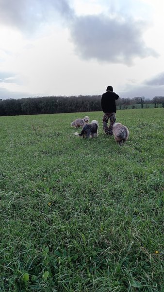 Fidweten Bacquiès - Comportementaliste canin - photo 3