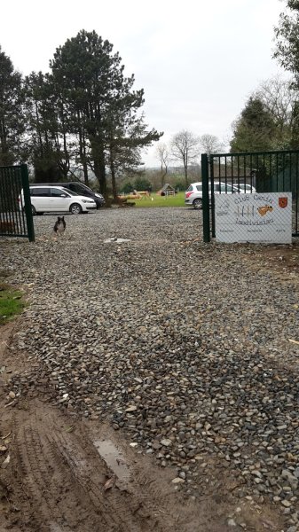 Club canin de Landivisiau - photo 2