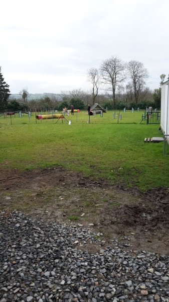 Club canin de Landivisiau - photo 3