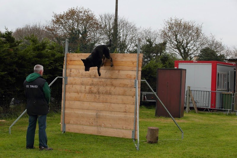 Cercle Cynophile Sportif de Plouvien - photo 1
