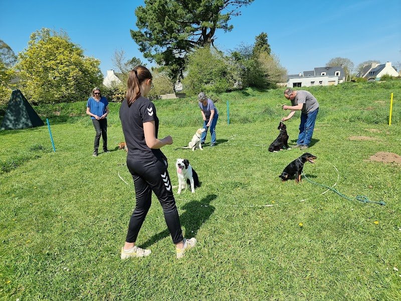 Cercle Cynophile Sportif de Plouvien - photo 3