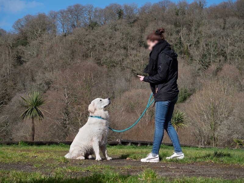 Tiphaine Quéméner Éducatrice Canin - photo 2