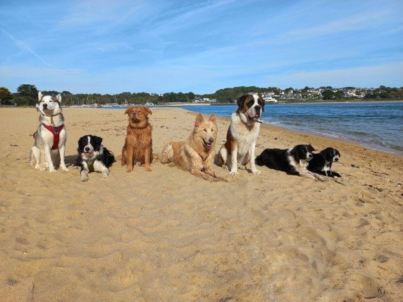 Tiphaine Quéméner Éducatrice Canin - photo 3