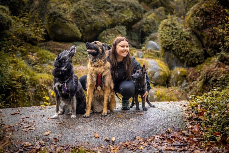 Sai & Co éducateur canin comportementaliste - photo 2