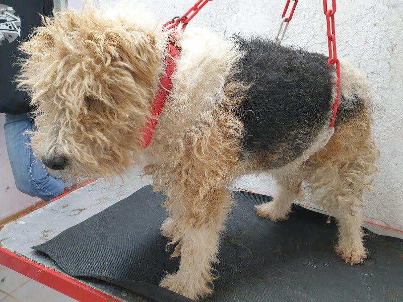 L'esthétichien - photo 1