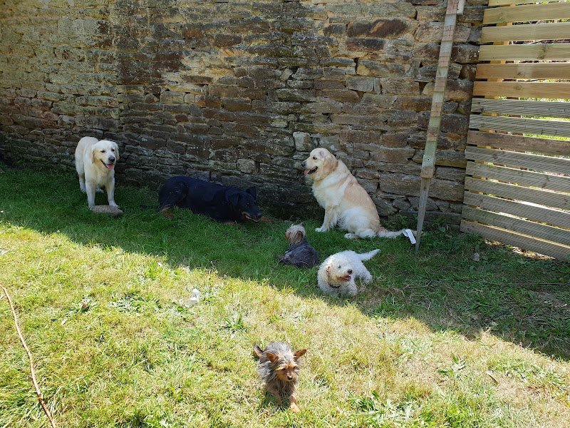 L'esthétichien - photo 2