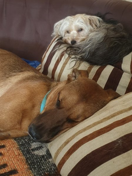 L'esthétichien - photo 3