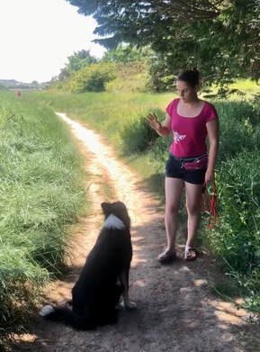 Le Bon C'hien Educateur canin et comportementaliste - photo 2