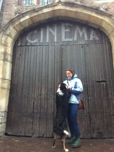 Le Bon C'hien Educateur canin et comportementaliste - photo 3