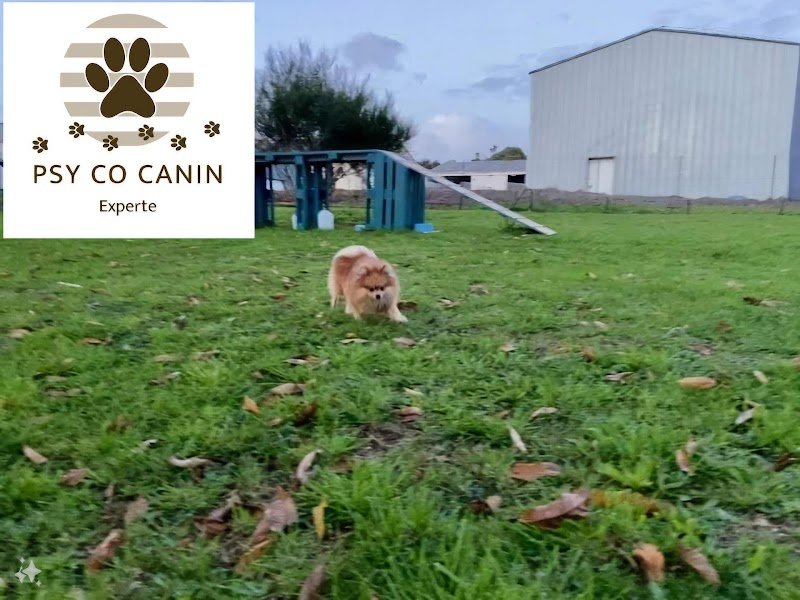 Psy Co Canin - photo 2