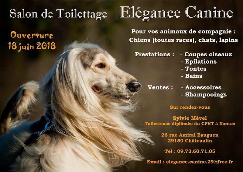 Elégance Canine