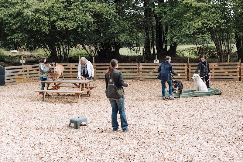 Cani'Laz - École d'éducation canine bienveillante - photo 1