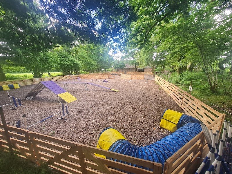 Cani'Laz - École d'éducation canine bienveillante - photo 3