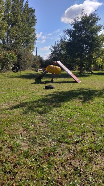 Club canin Centre d éducation canine de Plomeur (pays bigouden ) - photo 2