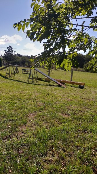 Club canin Centre d éducation canine de Plomeur (pays bigouden ) - photo 3