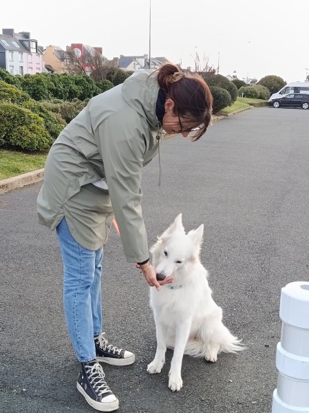 Éducateur canin spécialisé en chiens difficiles et expert en olfaction. Méthodes adaptées pour un comportement équilibré. - photo 2