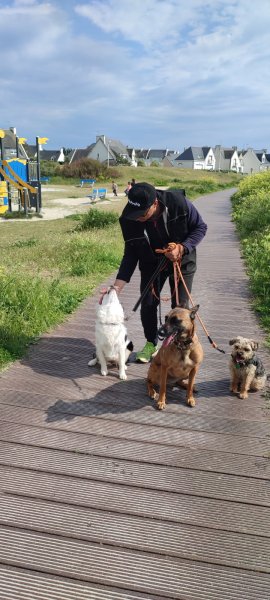 Éducateur canin spécialisé en chiens difficiles et expert en olfaction. Méthodes adaptées pour un comportement équilibré. - photo 3