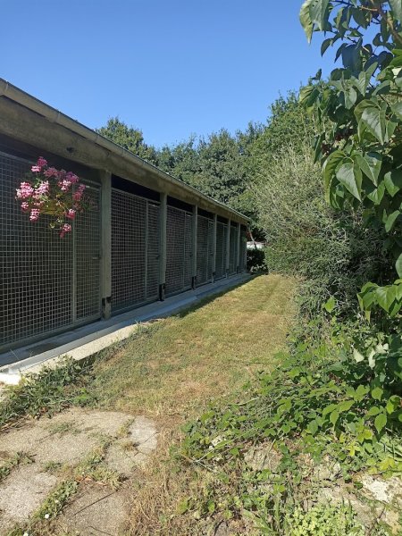 Pension canine et féline domaine des 3 menhirs - photo 3