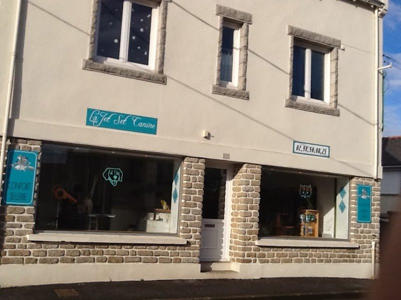 Jet Set Canine - photo 1