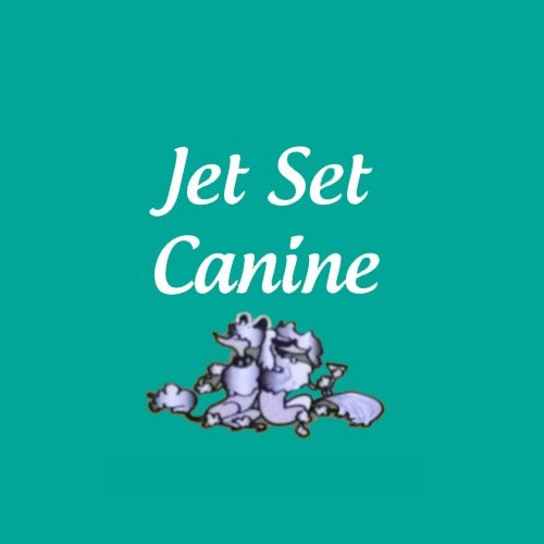 Jet Set Canine - photo 3