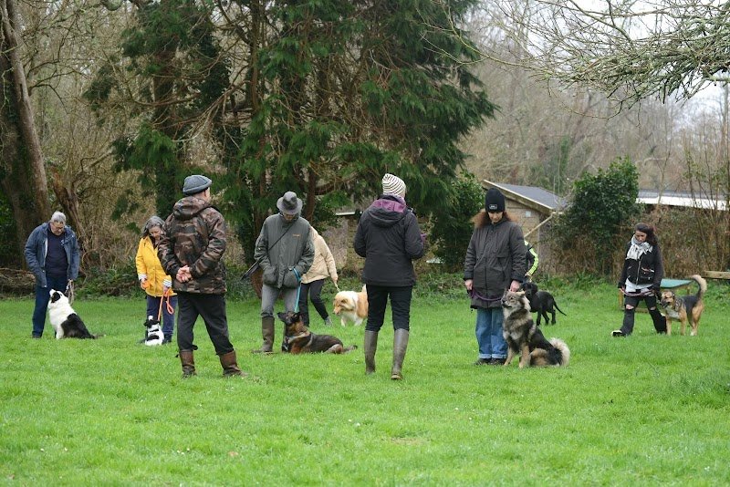 CLUB DU CHIEN D'UTILITE DE KERMENHIR - photo 3