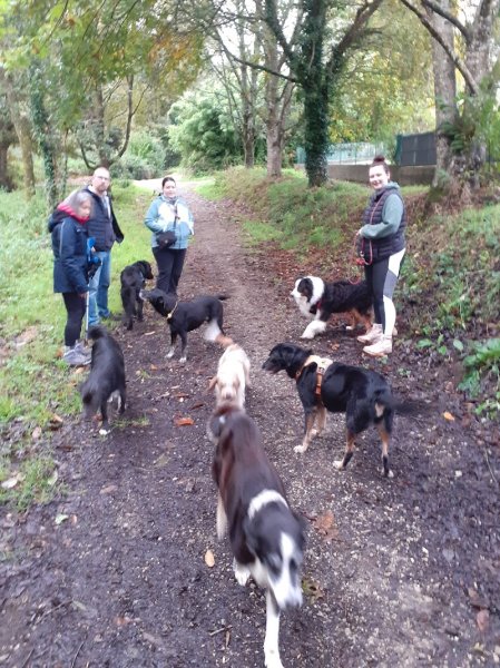 Claude Le Rhun Comportementaliste animalier Educatrice canin - photo 2