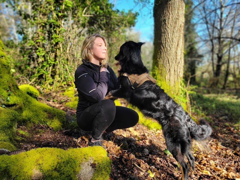 LOEN - Educateur canin - comportementaliste-pension-pet sitter