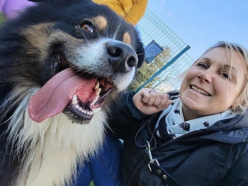 Centre Canin de la Baie