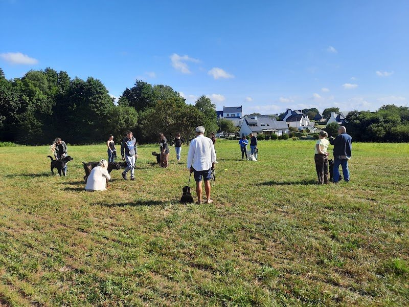 Marie éducatrice canin & praticienne en EMDR animal | Morbihan & Finistère - photo 3