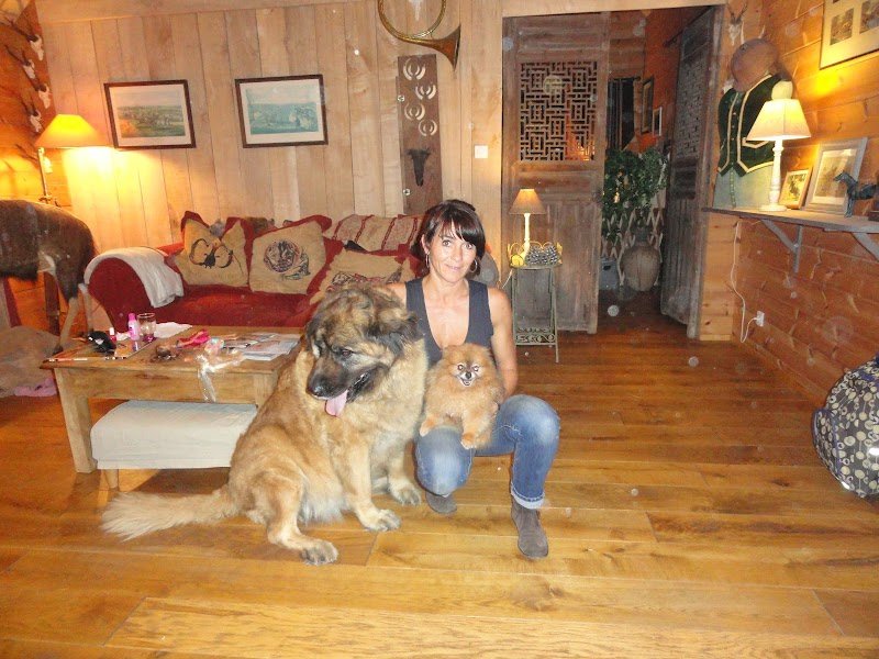 Pension Canine sans box - Finistère - Locronan