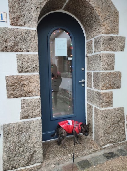 Bol d'Hair Canin - photo 2