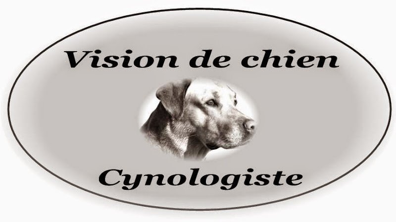 Vision de Chien