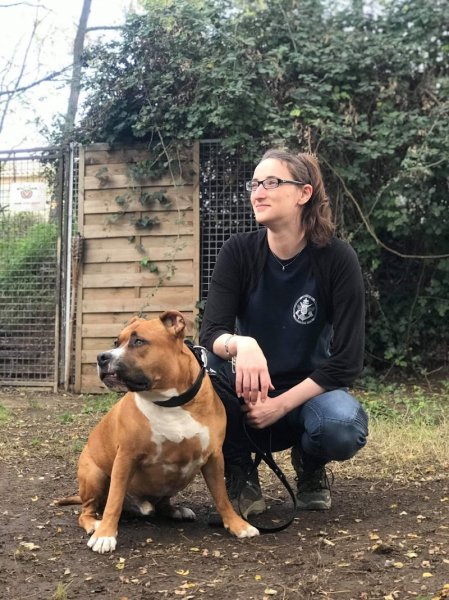 PATTEBLANCHE - EDUCATEUR CANIN - photo 2