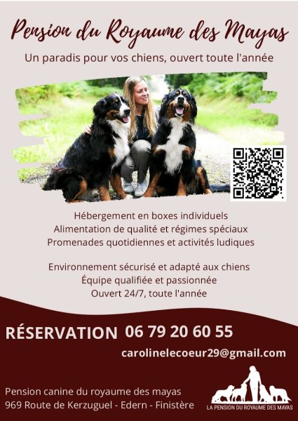 Pension canine du royaume des mayas - photo 3