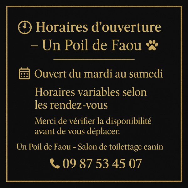 Un Poil de Faou ~ Salon De Toilettage pour chiens